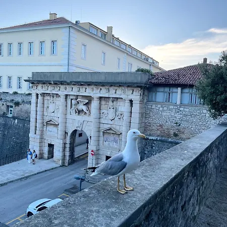 Апартаменты Luxury Majpruz *