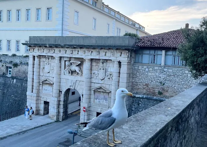 Apartment Luxury Majpruz *